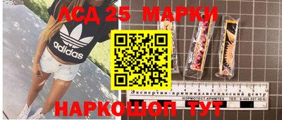 дживик Сланцы