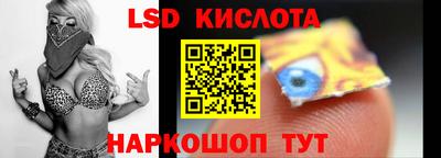 шишки Славгород
