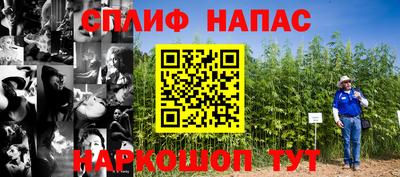 дживик Сланцы