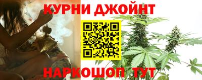 шишки Славгород