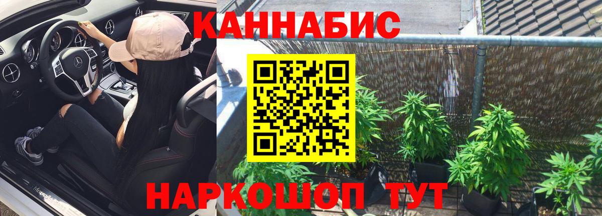 Марихуана план  Бошки марихуана Amnesia  Нефтекамск  Шишки марихуана марихуана  Каннабис MAZAR  Вход с VPN 